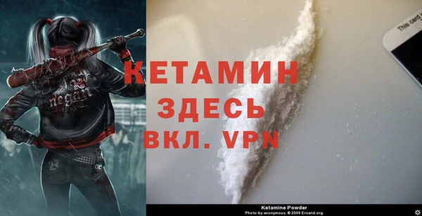 стаф Дмитров