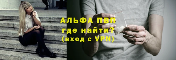 стаф Дмитров