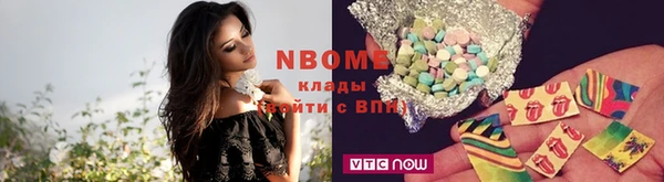 стаф Дмитров