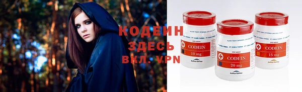 стаф Дмитров