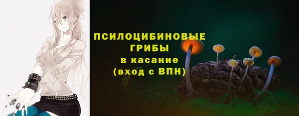 стаф Дмитров