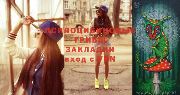 стаф Дмитров