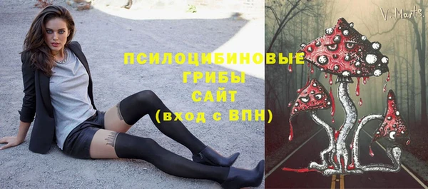 метадон Дмитриев