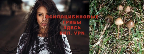 метадон Дмитриев