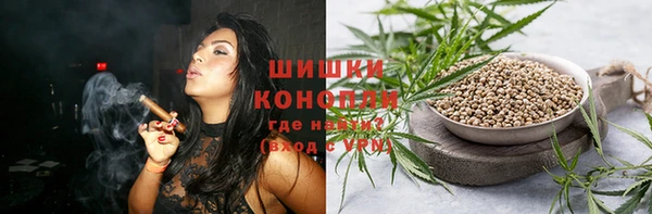 стаф Дмитров