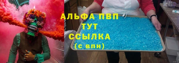 стаф Дмитров