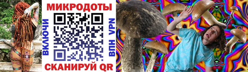 Купить закладки Белореченск Псилоцибиновые грибы Magic Shrooms